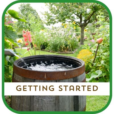 Rain barrel collecting rain water